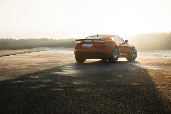 What Dietary Changes Can Help in Reducing Symptoms of PCOS?